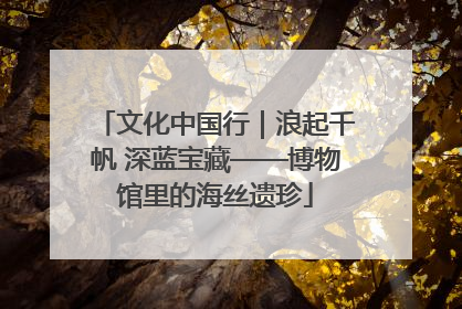 文化中国行｜浪起千帆 深蓝宝藏——博物馆里的海丝遗珍