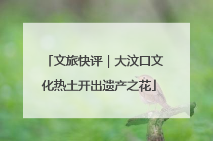 文旅快评｜大汶口文化热土开出遗产之花
