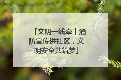 文明一线牵丨消防宣传进社区，文明安全共筑梦