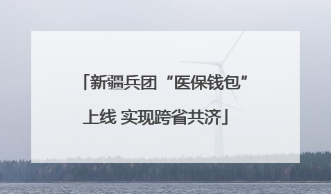 新疆兵团“医保钱包”上线 实现跨省共济