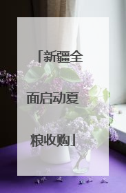 新疆全面启动夏粮收购