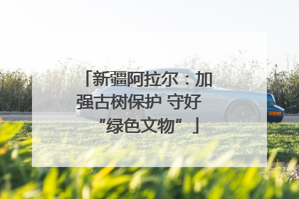 新疆阿拉尔：加强古树保护 守好“绿色文物”