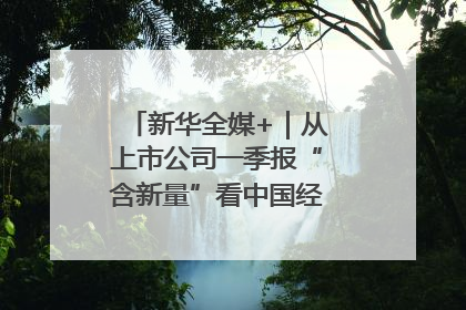 新华全媒+｜从上市公司一季报“含新量”看中国经济发展向“新”