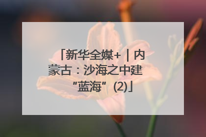 新华全媒+｜内蒙古：沙海之中建“蓝海”(2)