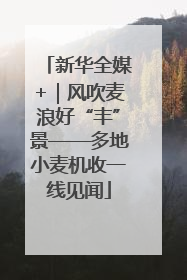 新华全媒+｜风吹麦浪好“丰”景——多地小麦机收一线见闻