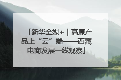 新华全媒+｜高原产品上“云”端——西藏电商发展一线观察