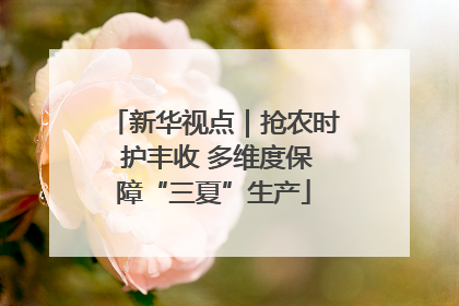 新华视点｜抢农时 护丰收 多维度保障“三夏”生产