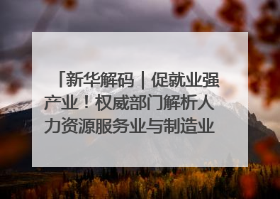 新华解码｜促就业强产业！权威部门解析人力资源服务业与制造业融合发展试点