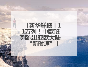 新华鲜报丨11万列！中欧班列跑出亚欧大陆“新时速”