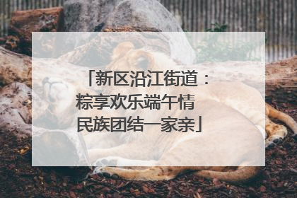 新区沿江街道：粽享欢乐端午情 民族团结一家亲