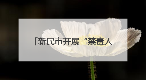 新民市开展“禁毒人人有责 反诈步步为营”主题宣传活动