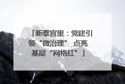 新泰宫里：党建引领“微治理” 点亮基层“网格红”