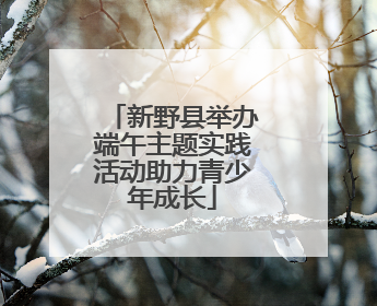 新野县举办端午主题实践活动助力青少年成长
