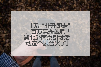 无“非升即走”、百万高薪诚聘！湖北赴南京引才活动这个展台火了