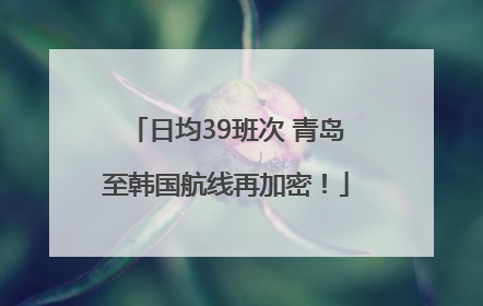 日均39班次 青岛至韩国航线再加密！
