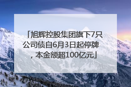 旭辉控股集团旗下7只公司债自6月3日起停牌，本金额超100亿元