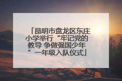昆明市盘龙区东庄小学举行“牢记党的教导 争做强国少年”一年级入队仪式