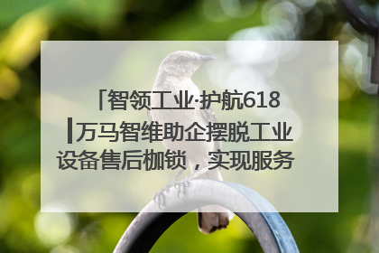 智领工业·护航618┃万马智维助企摆脱工业设备售后枷锁，实现服务与效能价值共振！