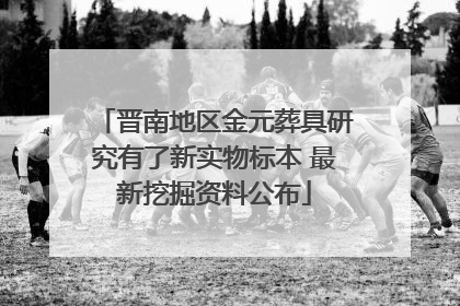 晋南地区金元葬具研究有了新实物标本 最新挖掘资料公布