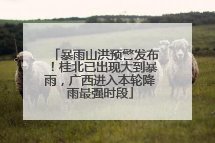 暴雨山洪预警发布！桂北已出现大到暴雨，广西进入本轮降雨最强时段