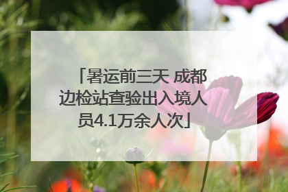 暑运前三天 成都边检站查验出入境人员4.1万余人次