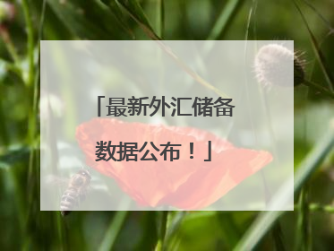 最新外汇储备数据公布！