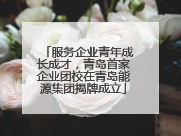 服务企业青年成长成才，青岛首家企业团校在青岛能源集团揭牌成立
