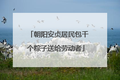朝阳安贞居民包千个粽子送给劳动者