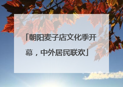 朝阳麦子店文化季开幕，中外居民联欢
