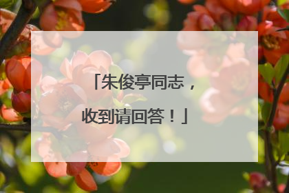 朱俊亭同志，收到请回答！