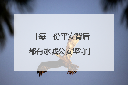 每一份平安背后 都有冰城公安坚守