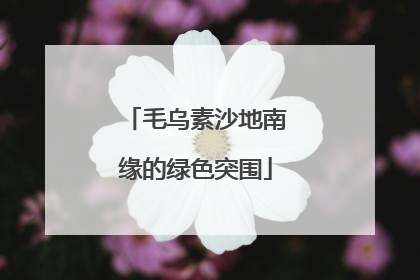 毛乌素沙地南缘的绿色突围