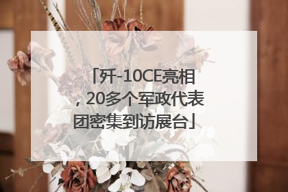 歼-10CE亮相，20多个军政代表团密集到访展台