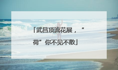 武昌顶流花展，“荷”你不见不散