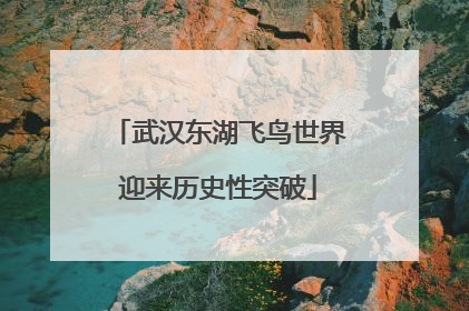 武汉东湖飞鸟世界迎来历史性突破