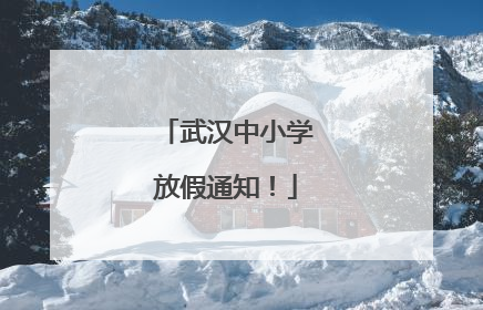 武汉中小学放假通知！