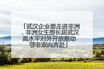 武汉企业要走进非洲，非洲女生想长居武汉 高水平对外开放推动鄂非双向奔赴