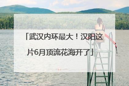 武汉内环最大！汉阳这片6月顶流花海开了