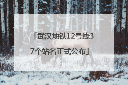 武汉地铁12号线37个站名正式公布