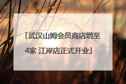 武汉山姆会员商店增至4家 江岸店正式开业