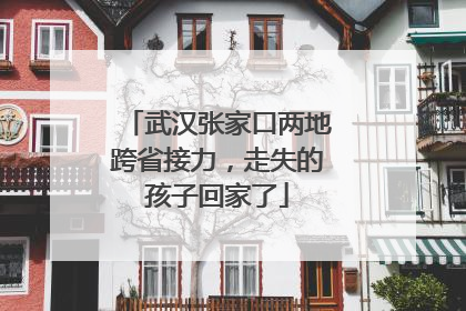武汉张家口两地跨省接力，走失的孩子回家了