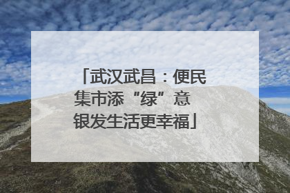 武汉武昌：便民集市添“绿”意 银发生活更幸福