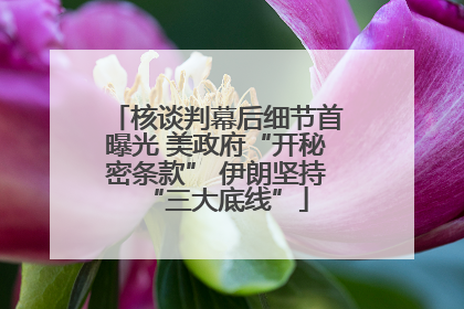 核谈判幕后细节首曝光 美政府“开秘密条款” 伊朗坚持“三大底线”
