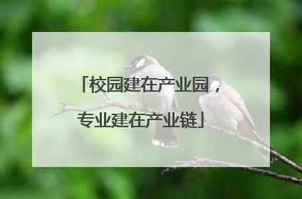 校园建在产业园，专业建在产业链