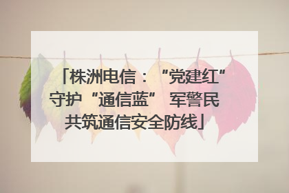 株洲电信：“党建红”守护“通信蓝” 军警民共筑通信安全防线