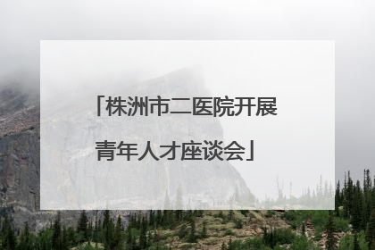 株洲市二医院开展青年人才座谈会