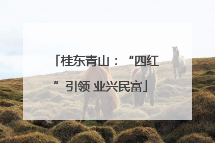 桂东青山：“四红”引领 业兴民富