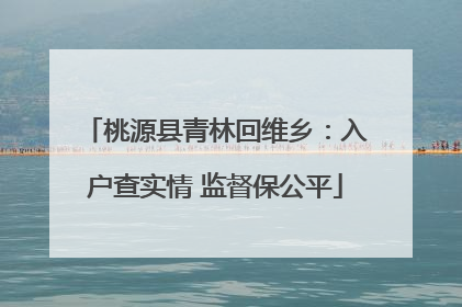桃源县青林回维乡：入户查实情 监督保公平