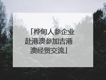 桦甸人参企业赴港澳参加吉港澳经贸交流