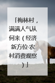 梅林村，满满人气从何来（经济新方位·农村消费观察）